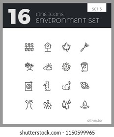 Environment icons. Set of  line icons. Star, palm, volcano. Nature concept. Vector illustration can be used for topics like ecology, ecosystem