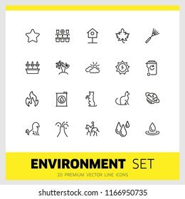 Environment icons. Set of  line icons. Star, palm, volcano. Nature concept. Vector illustration can be used for topics like ecology, ecosystem