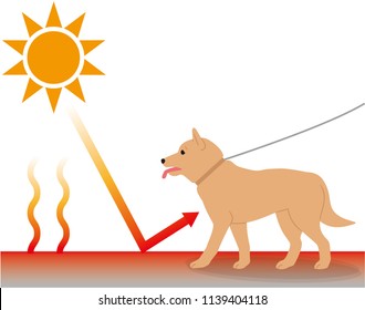 can a dog survive a heat stroke