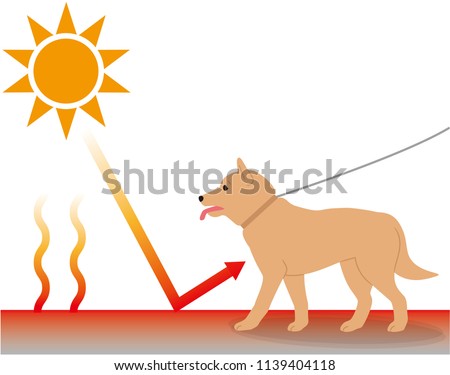 An environment where dogs are susceptible to heat stroke. Radiant heat.