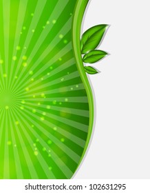Environmental background with plant. Vector illustration