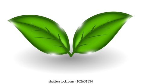 Environmental background with plant. Vector illustration