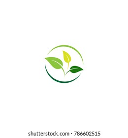 Environmental and Green