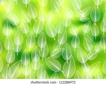 Textura de hojas voladoras verdes ambientales
