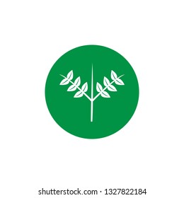 environmental green icon vector