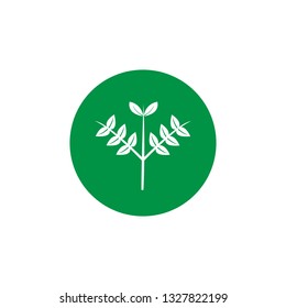 environmental green icon vector