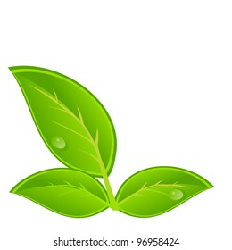 Environmental icon with plant. Vector illustration
