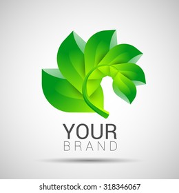 Environmental leaves branch logo Vector eco organic.