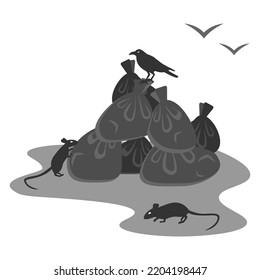 Environmental Problems. Garbage Dump. Rodent Breeding