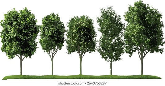 Environmental vector parks trees isolate set, nature landscape, green outdoor scene, eco friendly, sustainable, natural habitat, forest, greenery, eco parks, environment design
