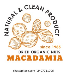 Environmentally friendly nut with high content proteins, minerals and antioxidants. Positive effect on healthy skin, and hair. Promotional banner or product package sticker. Vector in flat style
