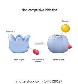 6 Inhibition non compétitive Images, Stock Photos & Vectors | Shutterstock