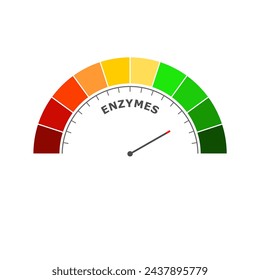 Nivel de enzimas en la escala de medición. Escala de instrumentos con flecha. Elemento de indicador de infografía colorido. Las enzimas son proteínas que actúan como catalizadores biológicos acelerando las reacciones químicas.