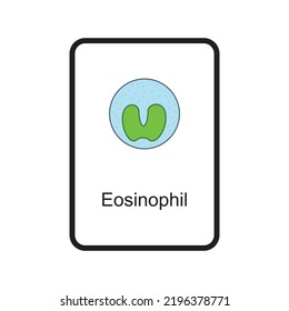 Eosinophil Cellular Schematic Structure Vector Illustration, Eps10 Icon