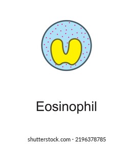 Eosinophil Cellular Schematic Structure Vector Illustration, Eps10 Icon