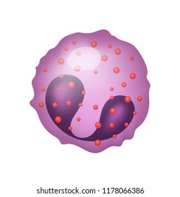 Eosinophil.  Vector Illustration.  Leukocytes. White Blood Cell