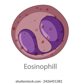Eosinophill. Diagram of common stem cell types. Science banner isolated on background. Medical microscopic molecular conception. Premium Illustration file svg