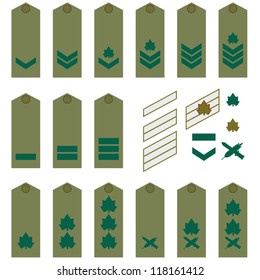 Epaulets, military ranks and insignia. Illustration on white background.