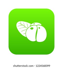 Ephedra icon green vector isolated on white background