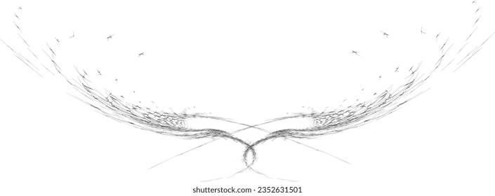 Un marco vectorial efímero, apenas visible, de medio tono de elementos estelares puntiagudos, revelado al mundo como las alas de un ser angélico.