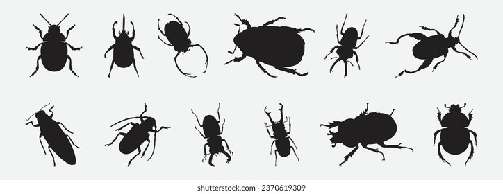 Epic Collection of Majestic Silhouettes, Set Beetles Insect Extravaganza