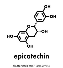 Epicatechin (l-epicatechin) chocolate flavonoid molecule. Skeletal formula.