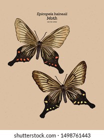 Epicopeia hainesii is a moth of the family Epicopeiidae. hand draw sketch vector.