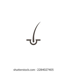 Epidermis. Hair follicle. Pores. Hair growth cycle. Hair icon.