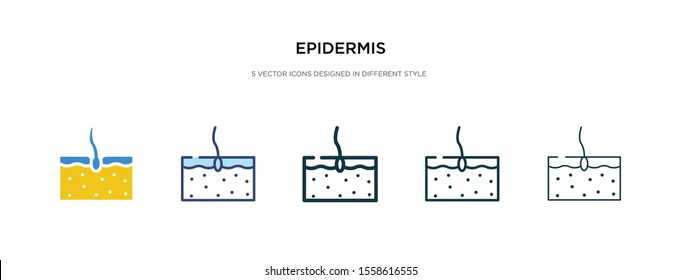 epidermis icon in different style vector illustration. two colored and black epidermis vector icons designed in filled, outline, line and stroke style can be used for web, mobile, ui