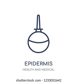 Epidermis icon. Epidermis linear symbol design from Health and Medical collection. Simple outline element vector illustration on white background