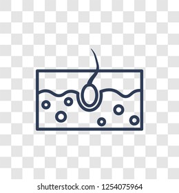 Epidermis icon. Trendy linear Epidermis logo concept on transparent background from Health and Medical collection
