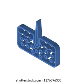 Epidermis isometric left top view 3D icon
