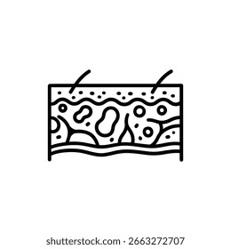 Epidermis äußere Hautschicht detaillierte Illustration