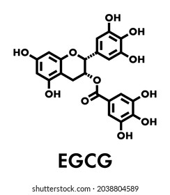 Epigallocatechin gallate (EGCG) green tea polyphenol molecule. Has antioxidant properties and may contribute to health effects of tea. Skeletal formula.