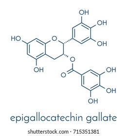 Epigallocatechin gallate (EGCG) green tea polyphenol molecule. Has antioxidant properties and may contribute to health effects of tea. Skeletal formula.