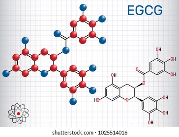 Epigallocatechin gallate (EGCG), is the most abundant catechin in tea. Structural chemical formula and molecule model. Sheet of paper in a cage.Vector illustration