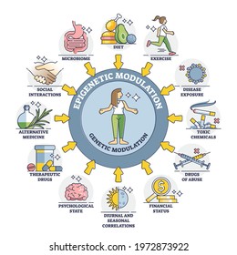 Epigenetic modulation as environmental effect to phenotype outline diagram. External influence and mediator process elements in labeled educational cycle scheme vector illustration. DNA regulation.