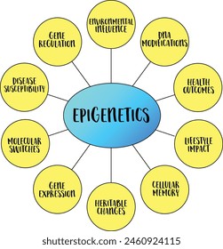 Epigenetics, study of heritable changes in gene expression or cellular phenotype caused by mechanisms other than changes in the underlying DNA sequence, vector mind map infographics.