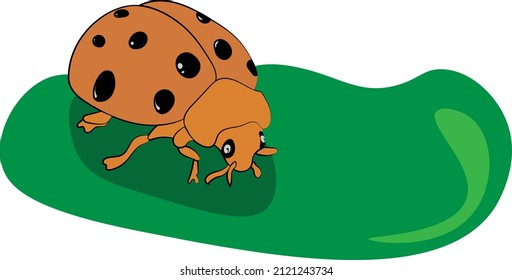 Epilachna is an insect. This is a paint of it.