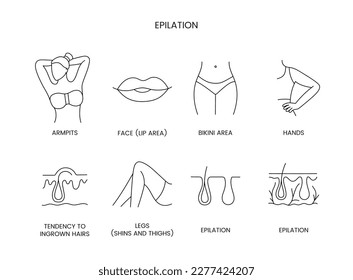 Epilation zones set of line icons in vector, editable stroke. Illustration legs shins and thighs, hands and bikini area, face lip area and armpits, tendency to ingrown hairs.