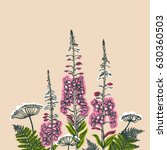 Epilobium angustifolium, Angelica, Polypodiophyta. Card with forest and meadow plants. Angelica, fern, fireweed. Flowering plants. Summer theme. Vector illustration.