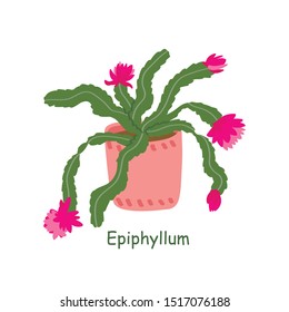 Epiphyllum plant isolated on a white background. Cute cactus. Vector illustration in cartoon style.