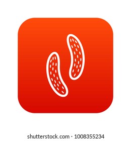 Epithelial cell icon digital red for any design isolated on white vector illustration