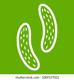 Epithelial cell icon white isolated on green background. Vector illustration
