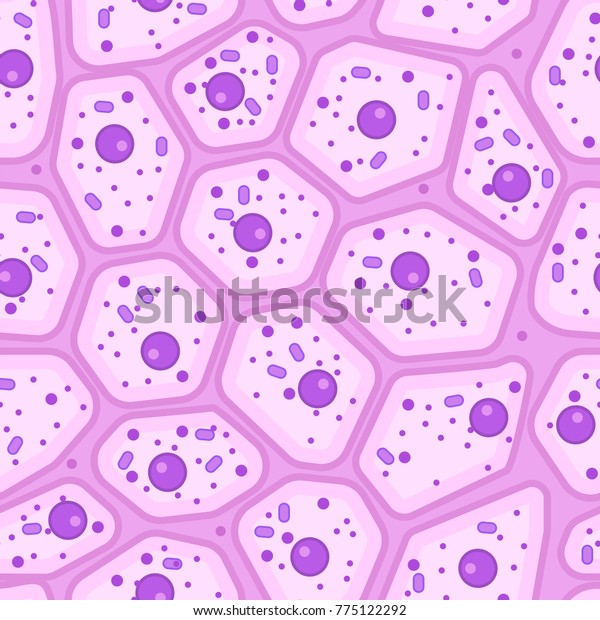 Epithelial seamless pattern. Stock vector\
illustration of magnified skin cells, human tissue under the\
microscope. Medicine and biology\
collection