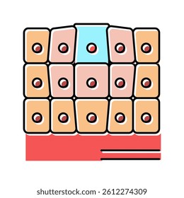 epithelial tissue color icon vector. epithelial tissue sign. isolated symbol illustration