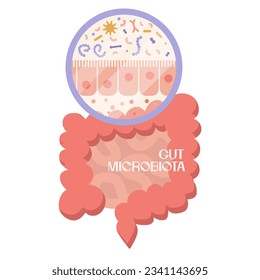 Epithelium of gits. Human microbiome and intestine anatomical clipart. Microbiota and surface area of intestinal walls. Intestinal villi and epithelial cells. Digestive system vector illustration