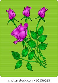 EPS 10 Beautiful red rose, vector illustration