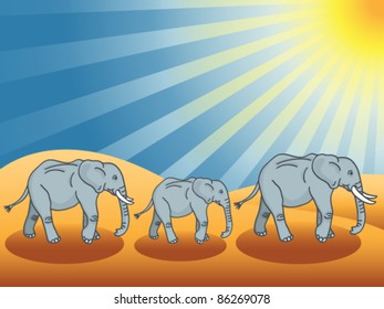 EPS 10: Desert elephants under the sun walking in the sand dunes.
