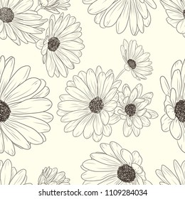 Eps 10 hand drawn daisies arctotis flowers seamless pattern design